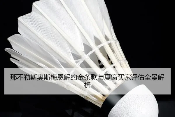 那不勒斯奥斯梅恩解约金条款与夏窗买家评估全景解析
