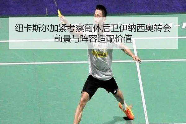 纽卡斯尔加紧考察葡体后卫伊纳西奥转会前景与阵容适配价值